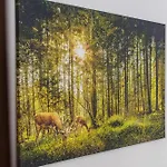 Nyaraló Seeperle - Der Ruft!