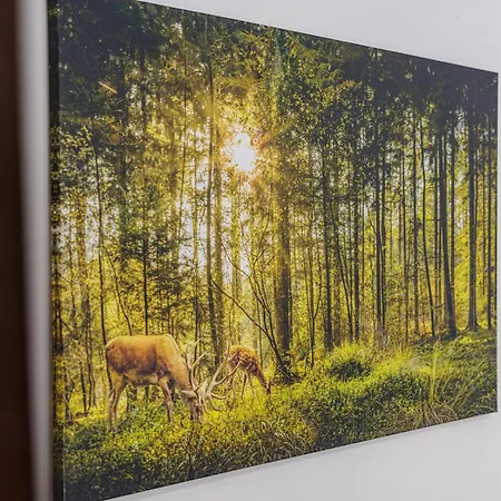 בית נופש Seeperle - Der Ruft!