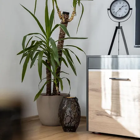 Seeperle - Der Ruft! לוכאו ביי ברגנץ